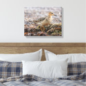 ビーチのバフのブレストのサンドパイパーのプロフィール キャンバスプリント (インサイチュ (寝室))
