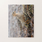 ビーチのバフのブレストのサンドパイパーのプロフィール ジグソーパズル (縦)