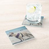 ビーチのフレンチ・ブルドッグ ガラスコースター (アングル)