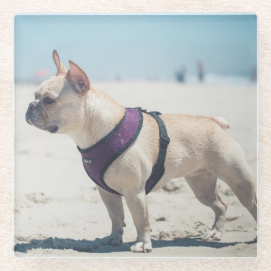 ビーチのフレンチ・ブルドッグ ガラスコースター (正面)