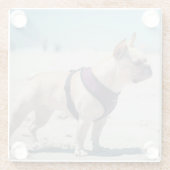 ビーチのフレンチ・ブルドッグ ガラスコースター (裏面)