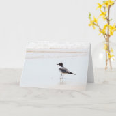 ビーチのブランクの挨拶状のカモメ カード (黄色い花)