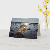 ビーチのブランクの挨拶状の貝 カード (黄色い花)