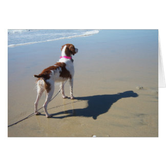 ビーチのブリッタニー