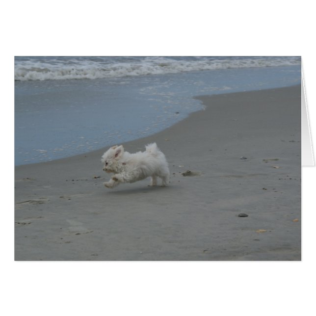 ビーチのベビー (正面横)