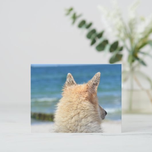 ビーチのペット犬 | 海の砂とサーフ ポストカード (スタンド正面)