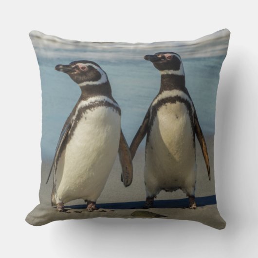 ビーチのペンギンカップル クッション (正面)