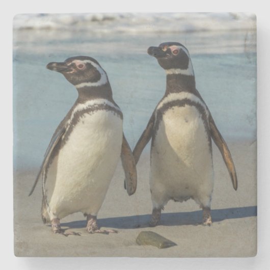 ビーチのペンギンカップル ストーンコースター (正面)