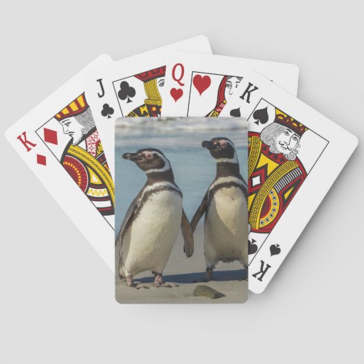 ビーチのペンギンカップル トランプ (裏面)