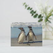 ビーチのペンギンカップル ポストカード (スタンド正面)