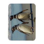 ビーチのペンギンカップル マグネット (縦)