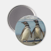ビーチのペンギンカップル マグネット (正面/裏面)
