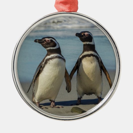 ビーチのペンギンカップル メタルオーナメント (正面)