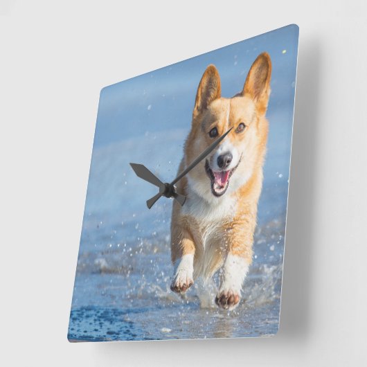 ビーチのペンブロークのウェルシュコーギー犬のランニング スクエア壁時計 (傾斜)