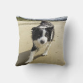 ビーチのボーダーコリー犬のランニング クッション (裏面)