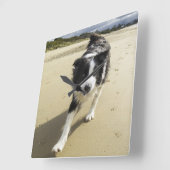 ビーチのボーダーコリー犬のランニング スクエア壁時計 (傾斜)