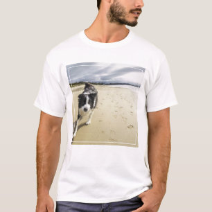 ビーチのボーダーコリー犬のランニング Tシャツ