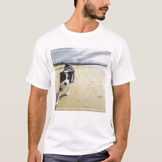 ビーチのボーダーコリー犬のランニング Tシャツ (正面)