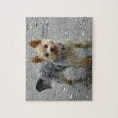 ビーチのヨークシャーテリア ジグソーパズル (縦)