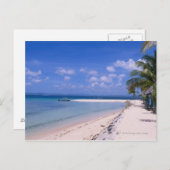 ビーチのリゾート ポストカード (正面/裏面)