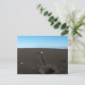 ビーチのローリング・ストーン ポストカード (スタンド正面)