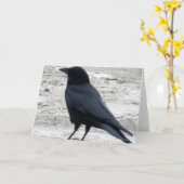 ビーチのワタリガラスNotecard カード (黄色い花)