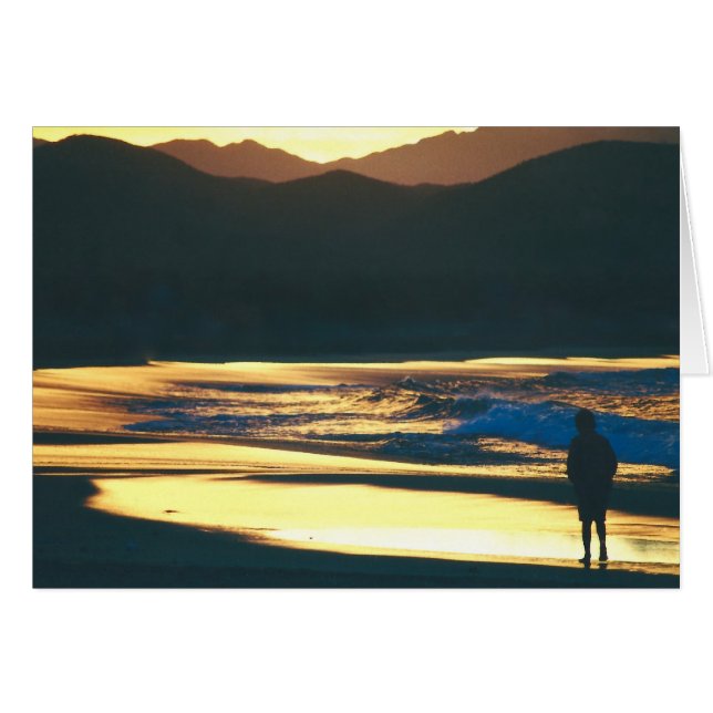 ビーチの夜明け (正面横)