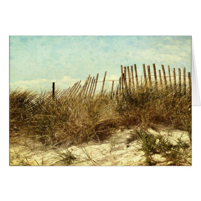 ビーチの夢 (正面横)