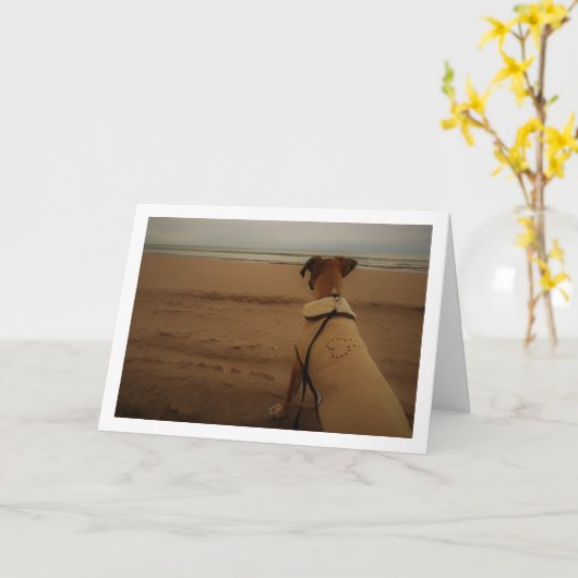 ビーチの子犬 カード (黄色い花)