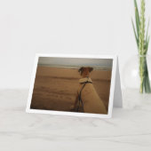 ビーチの子犬 カード (正面)