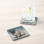 ビーチの子鹿のパグ コースター (右側)