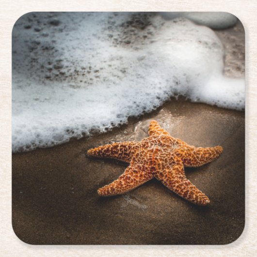 ビーチの孤独なヒトデ スクエアペーパーコースター (正面)