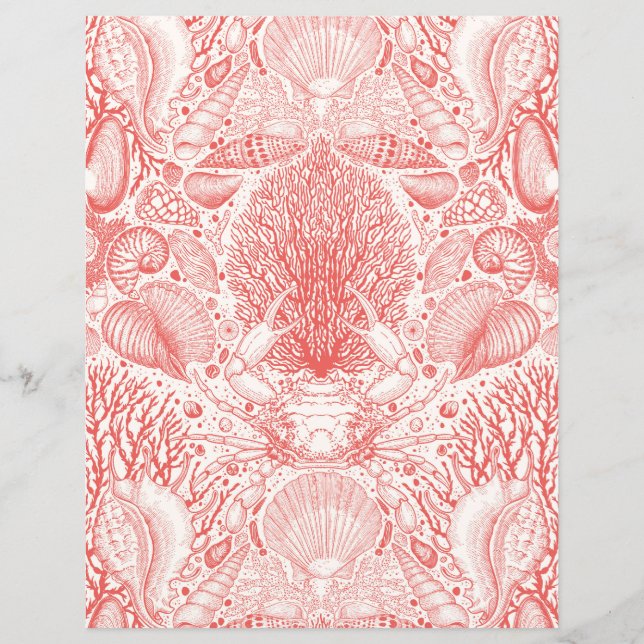 ビーチの宝庫 (正面)