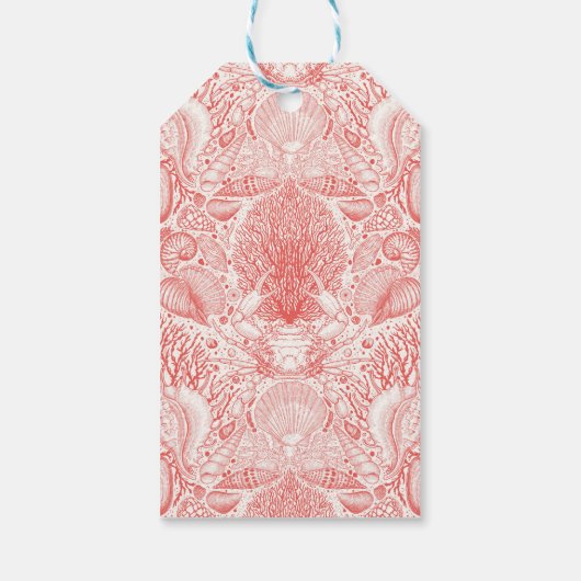 ビーチの宝庫 ギフトタグ (裏面)