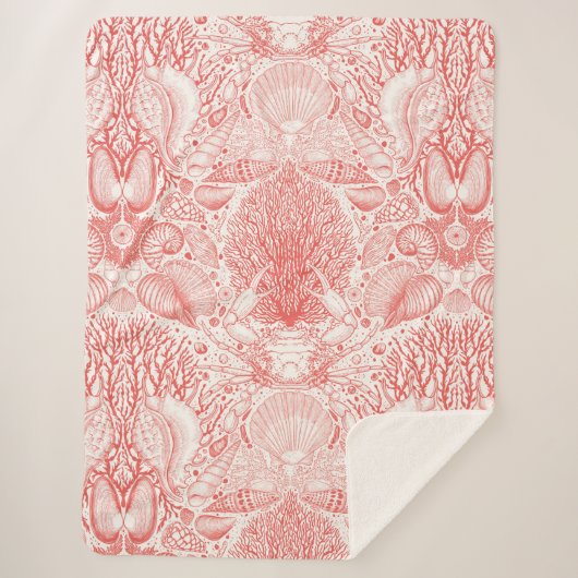 ビーチの宝庫 シェルパブランケット (正面)