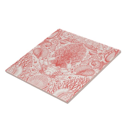 ビーチの宝庫 タイル (側面)