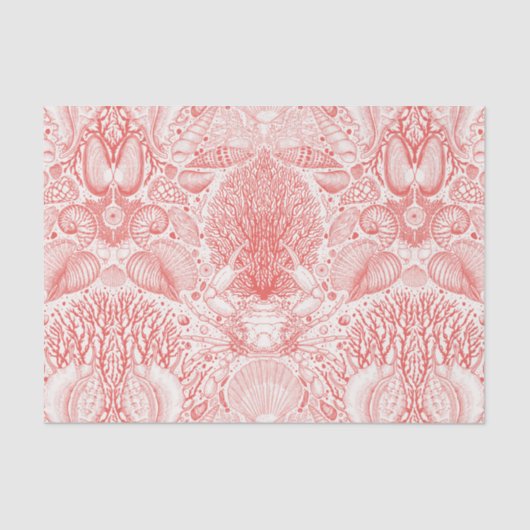 ビーチの宝庫 薄葉紙 (正面)