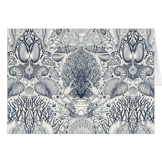 ビーチの宝物，貝殻，カニ，サンゴと海 (正面横)