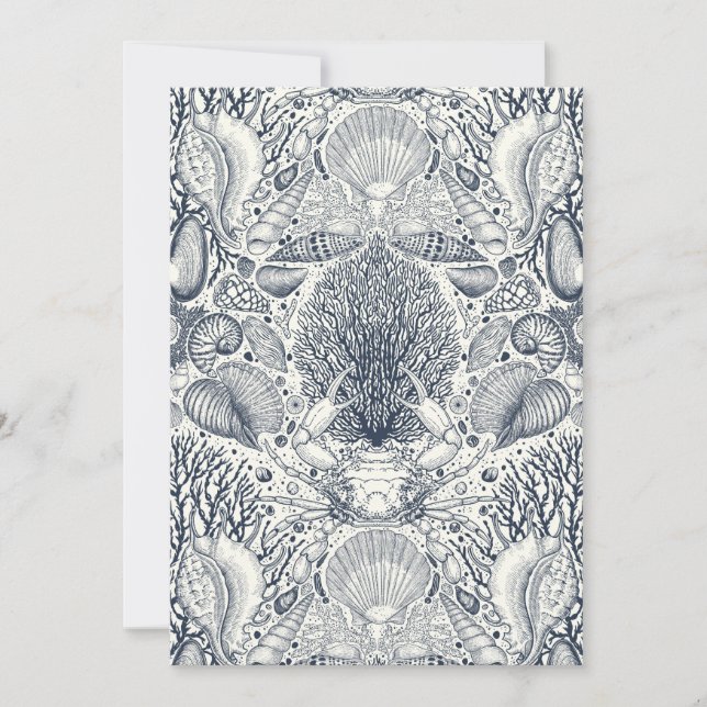 ビーチの宝物，貝殻，カニ，サンゴと海 (正面)