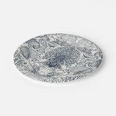 ビーチの宝物，貝殻，カニ，サンゴと海 ペーパープレート (アングル)