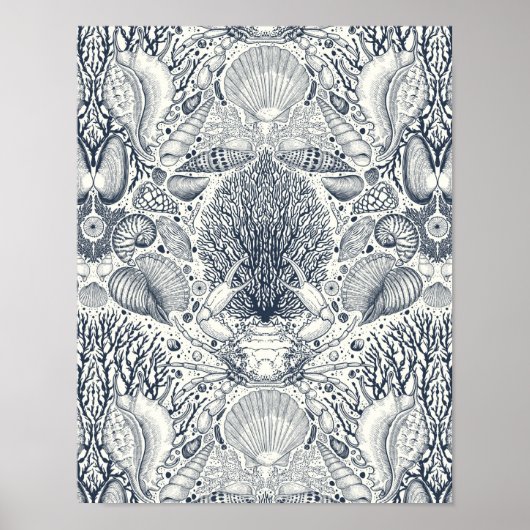 ビーチの宝物，貝殻，カニ，サンゴと海 ポスター (正面)