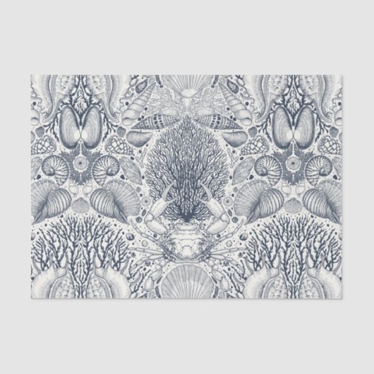 ビーチの宝物，貝殻，カニ，サンゴと海 薄葉紙 (正面)