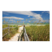 ビーチの成長する海のオートたちUniola paniculata フォトプリント (正面)