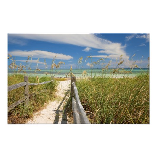 ビーチの成長する海のオートたちUniola paniculata フォトプリント (正面)