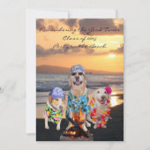 ビーチの招待状のおもしろい犬の卒業パーティー 招待状 (正面)