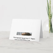 ビーチの挨拶状の柔らかく白い羽 カード (裏面)