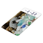 ビーチの日が必要だ！マグネット海岸貝殻化石 マグネット (左側)