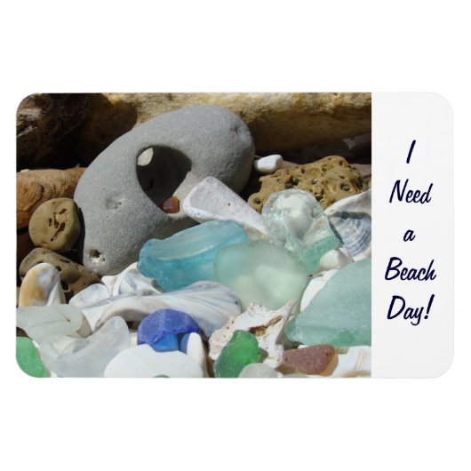 ビーチの日が必要だ！マグネット海岸貝殻化石 マグネット (横)