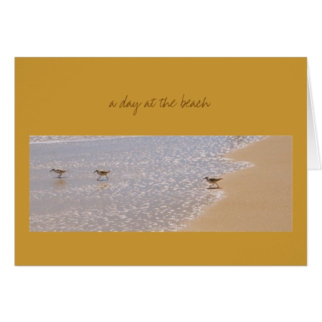 ビーチの日 (正面横)