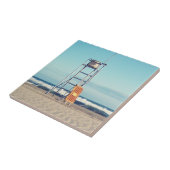 ビーチの日! タイル (側面)